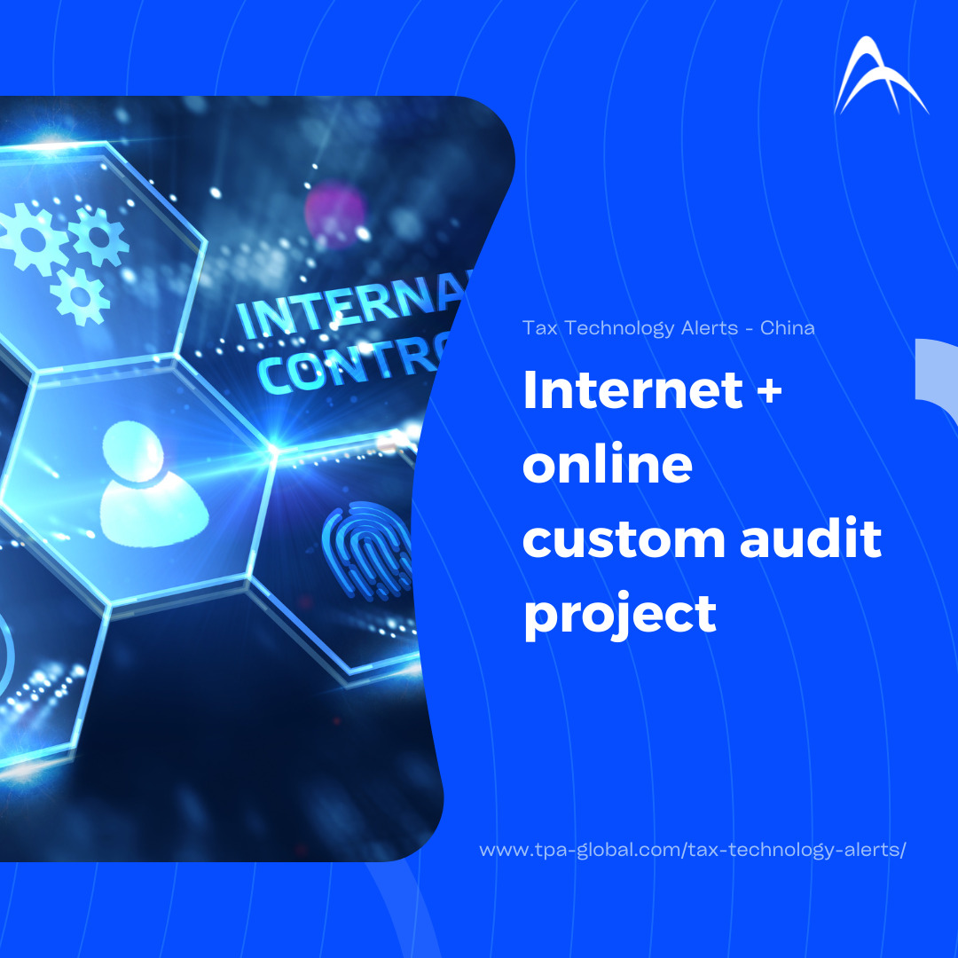 Internet + Online Custom Audit Project